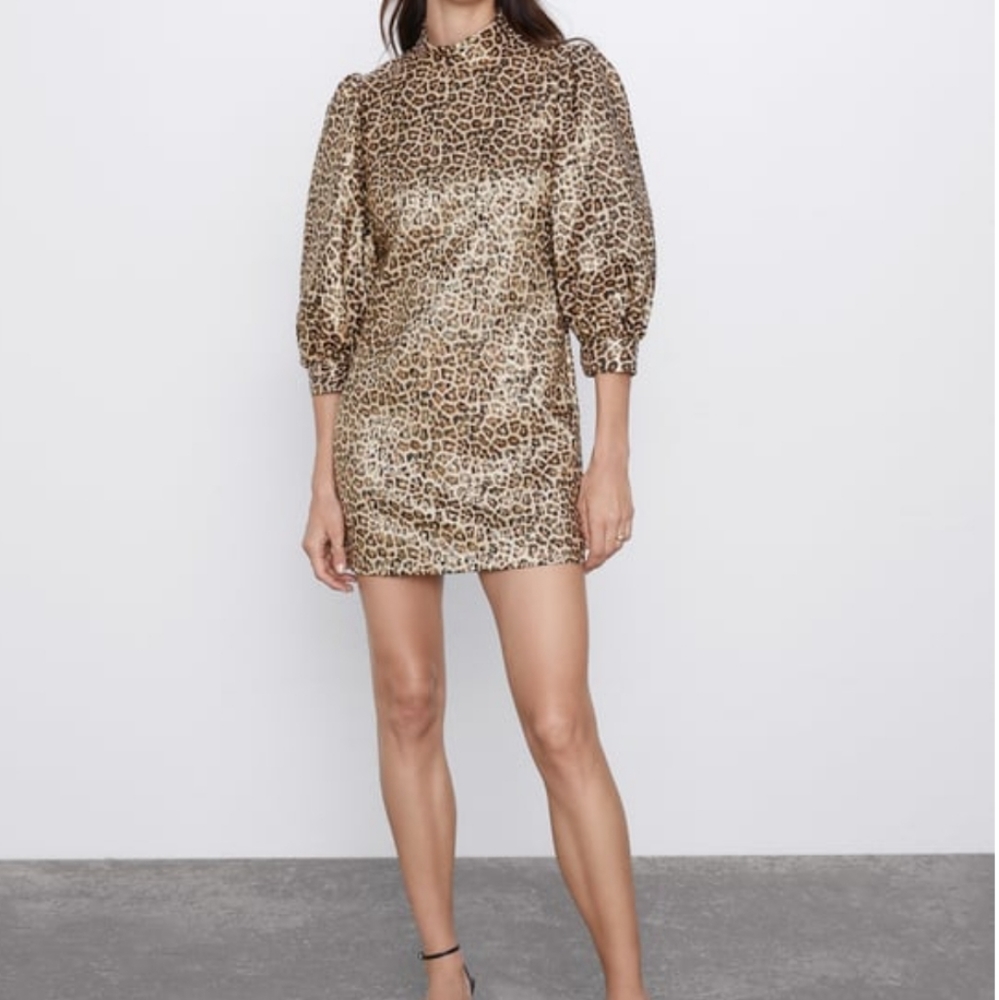 Zara Leopard Print Mini Dress